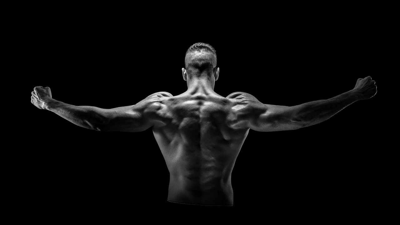 Balanca mes trupit dhe mendjes: pse është e rëndësishme